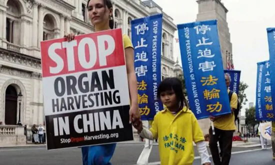 Murder on Demand: Organ Harvesting Exposed on Human Rights Day in The Hague