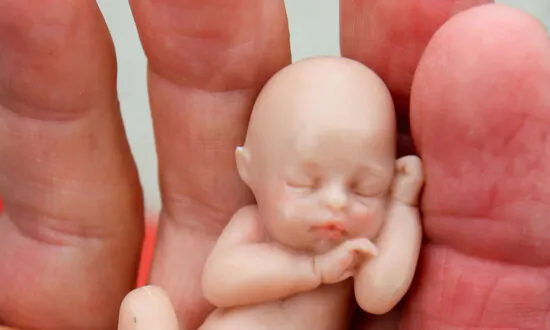 Queensland Government Moves Motion Shutting Down Debate on Abortion