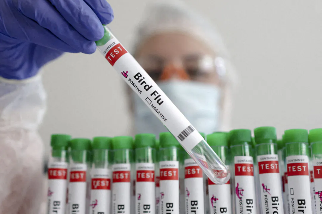 A person holds a test tube in this photo illustration, on Jan. 14, 2023. (Dado Ruvic/Illustration/Reuters)