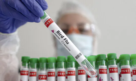 Study Claims Influenza Could Adversely Affect Pregnant Women