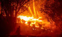Wind-Driven Malibu Wildfire Destroys 7 Structures, Damages 9