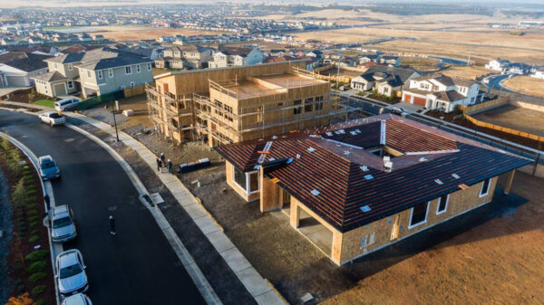 These New Homes Built With Unique Japanese Wood Framing Technology. Take a Look