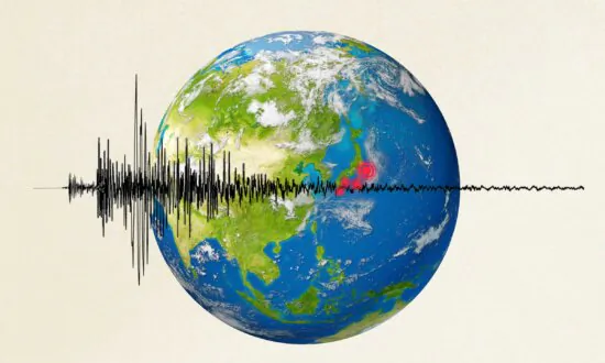 Major Earthquake Preparedness: Response Strategies for Different Scenarios