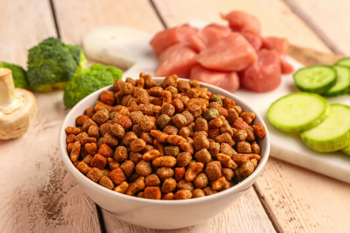 Pet food is one of the many expenses that come with owning a pet. 
(Pixel-Shot/Shutterstock)