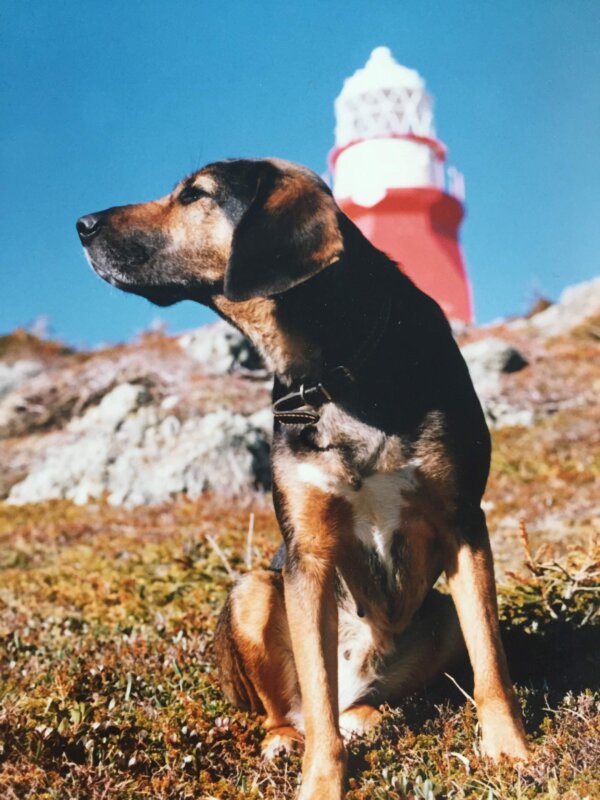 Epoch Times Photo