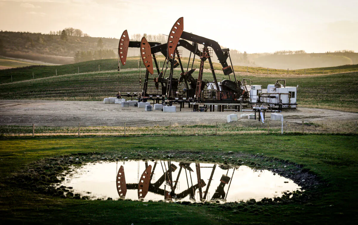 Pumpjacks draw out oil and gas from well heads near Calgary in a file photo. (Jeff McIntosh/The Canadian Press via AP, File)