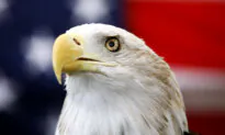 Bald Eagle Formally Recognized as US National Bird