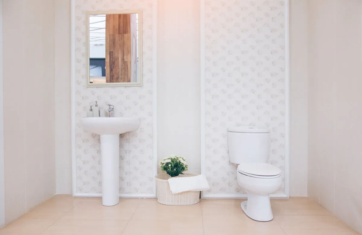 A new toilet that saves water is a good idea. (gan chaonan/Shutterstock)