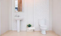 Replace Old Toilet With Stylish One