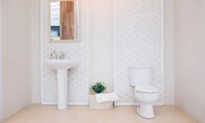 Replace Old Toilet With Stylish One