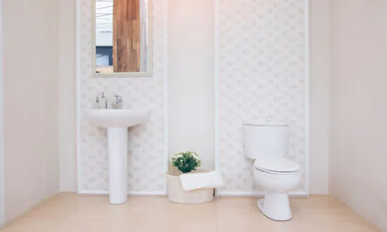 Replace Old Toilet With Stylish One