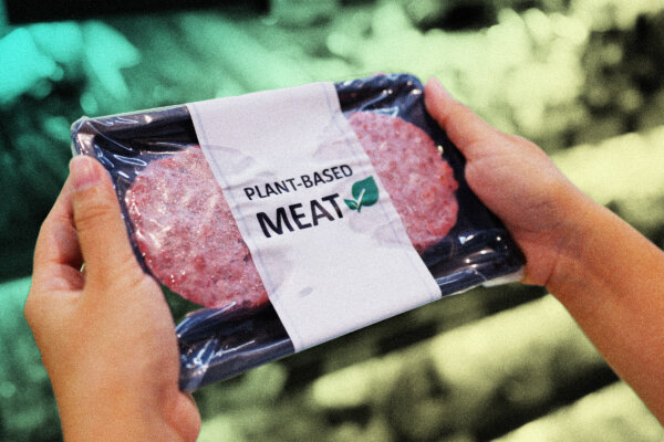 Plant-Based Meat Alternatives—How Healthy They Really Are