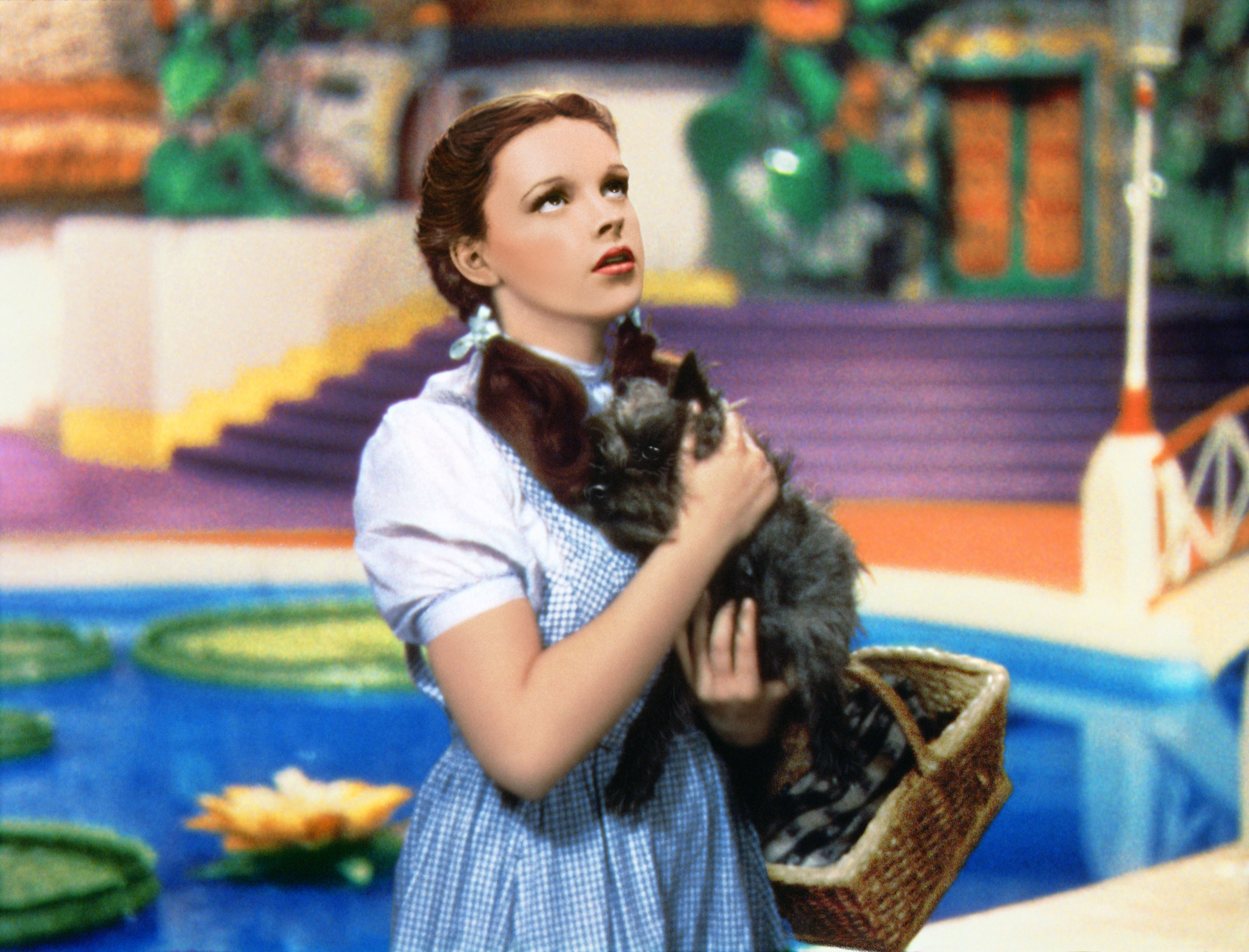 Wizard of Oz 