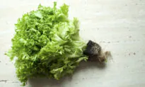 A Wintry Salad That Adds Cheer to Heavier Cold-Weather Meals