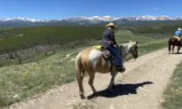 Taking the Kids: Best 2024 Travel Memories
