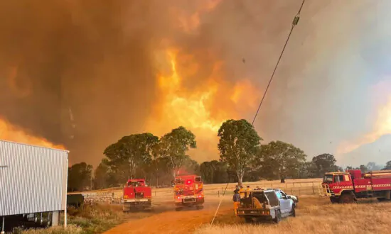 Victoria Offers Financial Aid for Victims of ‘Singapore’ Sized Bushfires