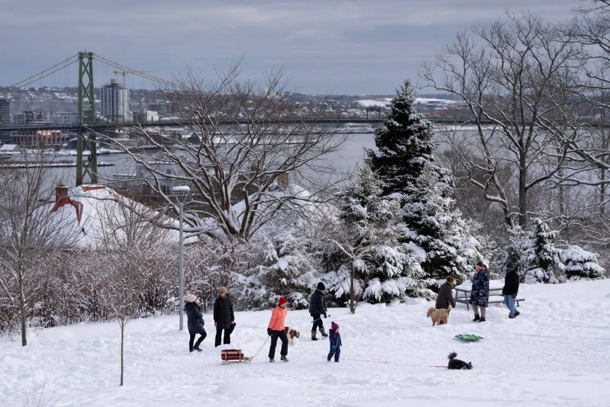 Families play in the snow at Needham Park overlooking Halifax Harbour in Nova Scotia on Dec. 25, 2024. (The Canadian Press/Darren Calabrese)
