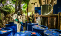 Treasury Sanctions Mexican Companies Accused of Aiding Cartel Fentanyl Production