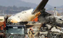 179 Dead After Plane Crashes, Explodes During Landing at South Korean Airport