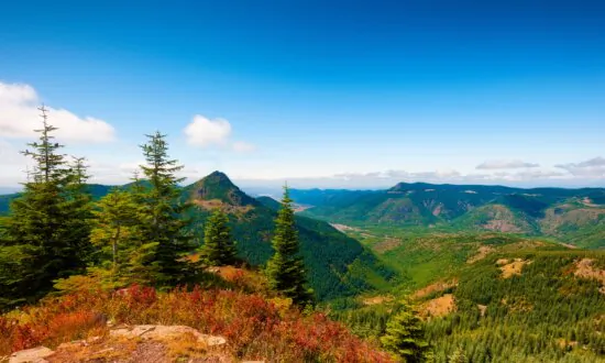 2 Oregon Men Die From Exposure in Forest After They Went Out to Look for Sasquatch