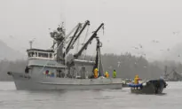 2 Bodies Recovered Amid Debris From Fishing Boat That Reportedly Capsized in Alaska