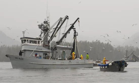 2 Bodies Recovered Amid Debris From Fishing Boat That Reportedly Capsized in Alaska
