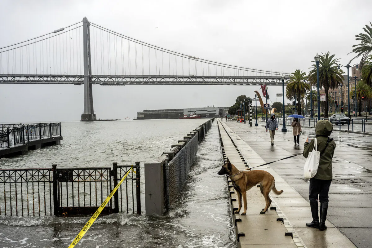 Water from the San Francisco Bay spills onto the Embarcadero in San Francisco on Dec. 14, 2024, as a result of high tides and storm-driven waves. (Noah Berger/AP Photo)