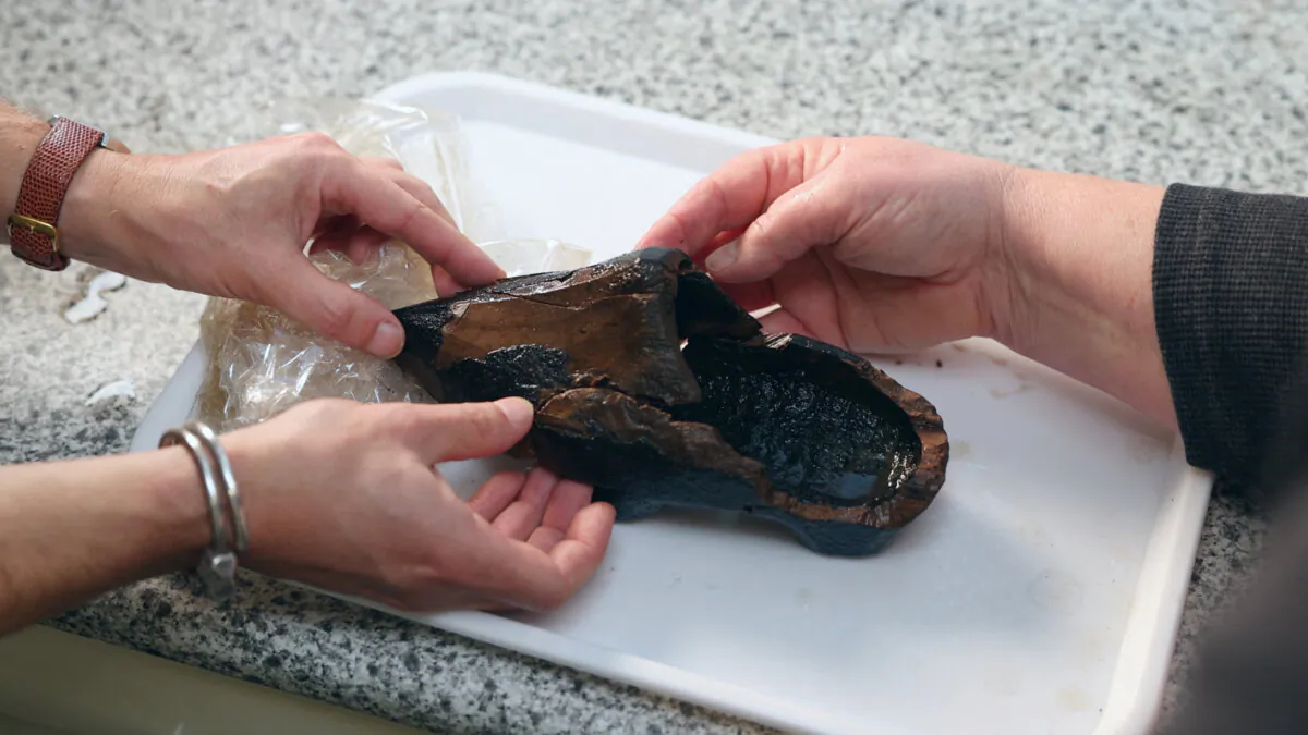 Archaeologist Silke Lange and a co-worker handle a 16th-century Dutch clog, which was found in a cesspool in Alkmaar, at a laboratory in Zaandam, Netherlands, on Dec. 20, 2024. (Hilde Verweij/Reuters)