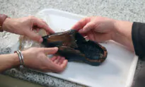 Dutch Discover Rare 500-Year Old Wooden Shoe