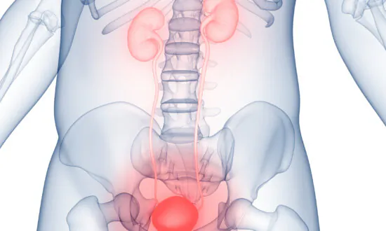 Why Holding In Urine Could Damage Your Bladder, Doctors Warn