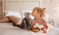 Living With Pets Protects Children From Allergies