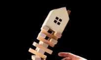 Is the Market Economy Inherently Unstable, or Is Government the Culprit?