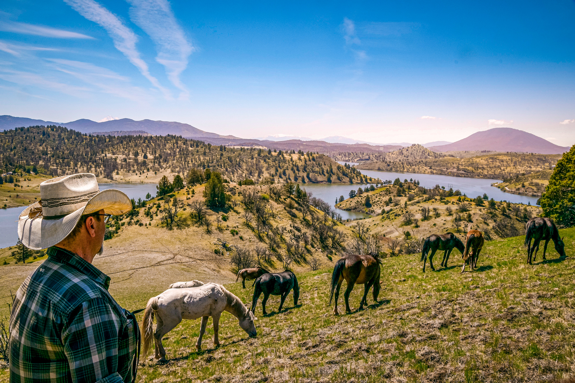 Wild Horses Can Help Prevent Wildfires, Advocates Say