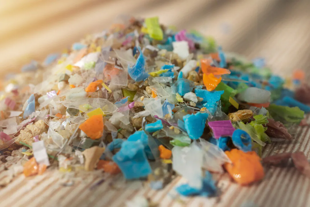 Microplastics in Air Linked to Cancer and Infertility, Major Study Finds 