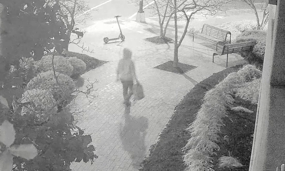 LIVE NOW: House Judiciary Subcommittee Holds Hearing on DNC, RNC Pipe Bombs Probe