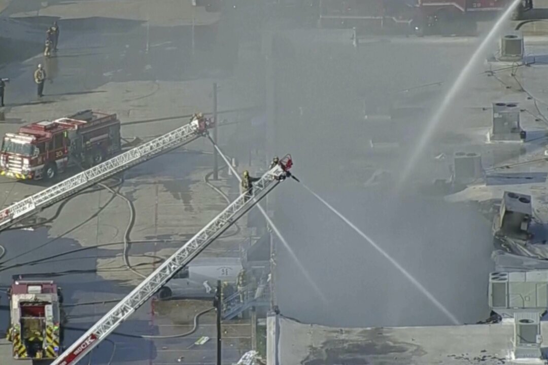 Hundreds of Animals Killed in Dallas Shopping Center Fire