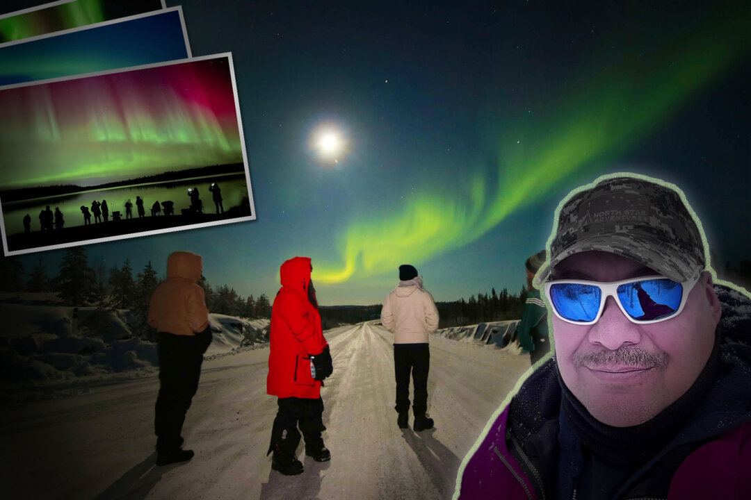 Aurora Hunter Photographs Dragon Aurora In NWTWhere Northern Lights Are Always On