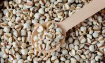 Health Benefits of Coix Seed and Ways to Enjoy It