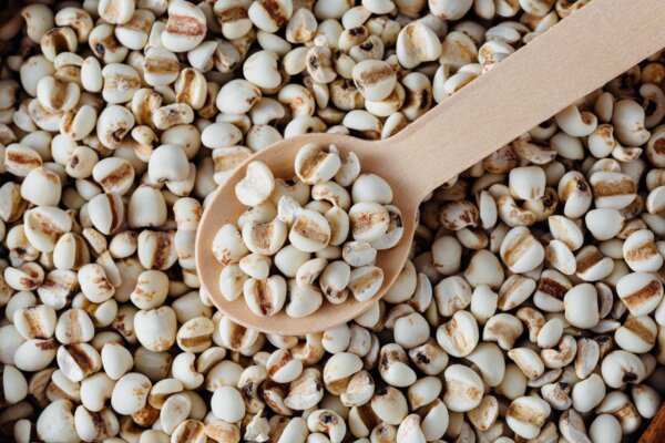 Health Benefits of Coix Seed and Ways to Enjoy It