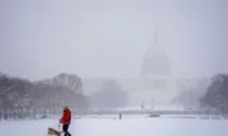 Raging Winter Storm Drops 12 Inches of Snow on Washington, Mid-Atlantic Region