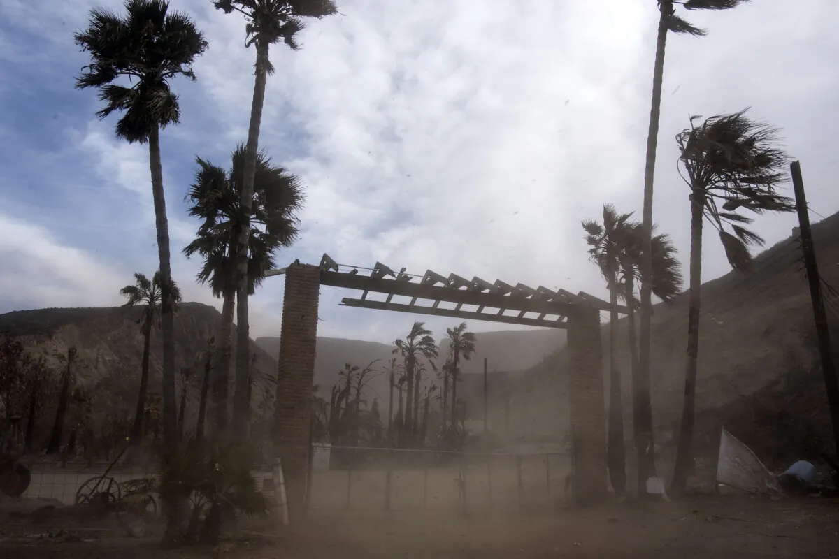 A cloud of dirt lifted by Santa Ana winds is seen at a ranch in a file photo. (Guillermo Arias/AFP via Getty Images)