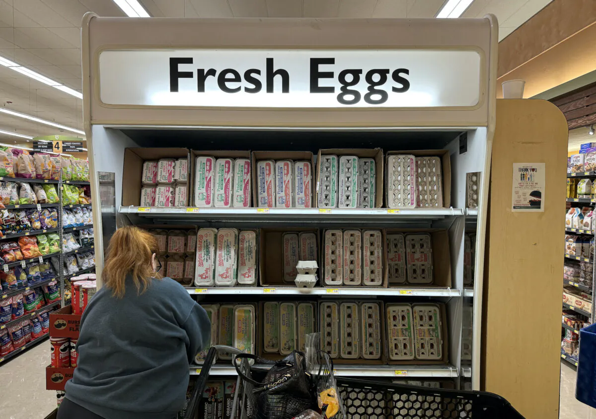 In a file photograph, a customer shops for eggs at a grocery store in San Rafael, Calif., on Sept. 25, 2024. (Justin Sullivan/Getty Images)