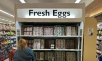 100,000 Eggs Worth $40,000 Stolen From Trailer in Pennsylvania, Police Say