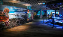 What’s Coming to Florida in 2025: A New Theme Park, Huge Planetarium, and Free Disney Water Parks