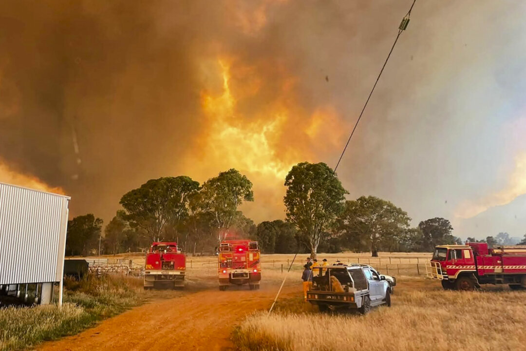 ‘Too Late to Leave’: Tourist Warning as Bushfire Burns