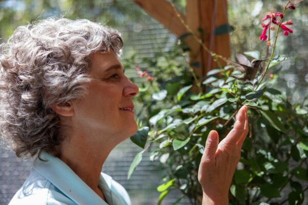 'Every Little Thing': A Profile of a Woman Who Rescues Hummingbirds