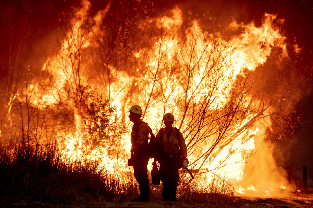 BC Wildlife Sends Team to Help Combat LA Fires: Eby