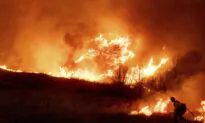 Wildfires Devastate Los Angeles; 10 Killed, Thousands of Homes Destroyed