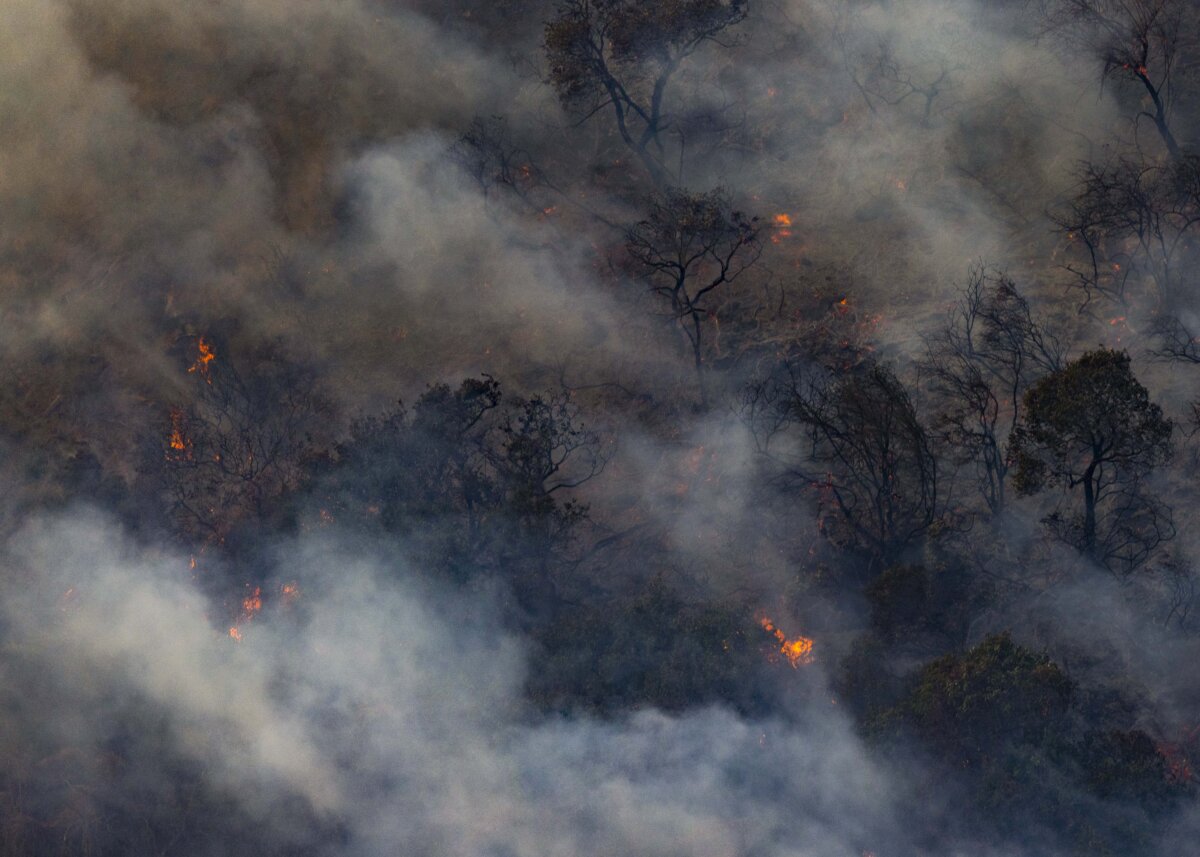 Epoch Times Photo