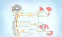 Dysautonomia: Symptoms, Causes, Treatments, and Natural Approaches